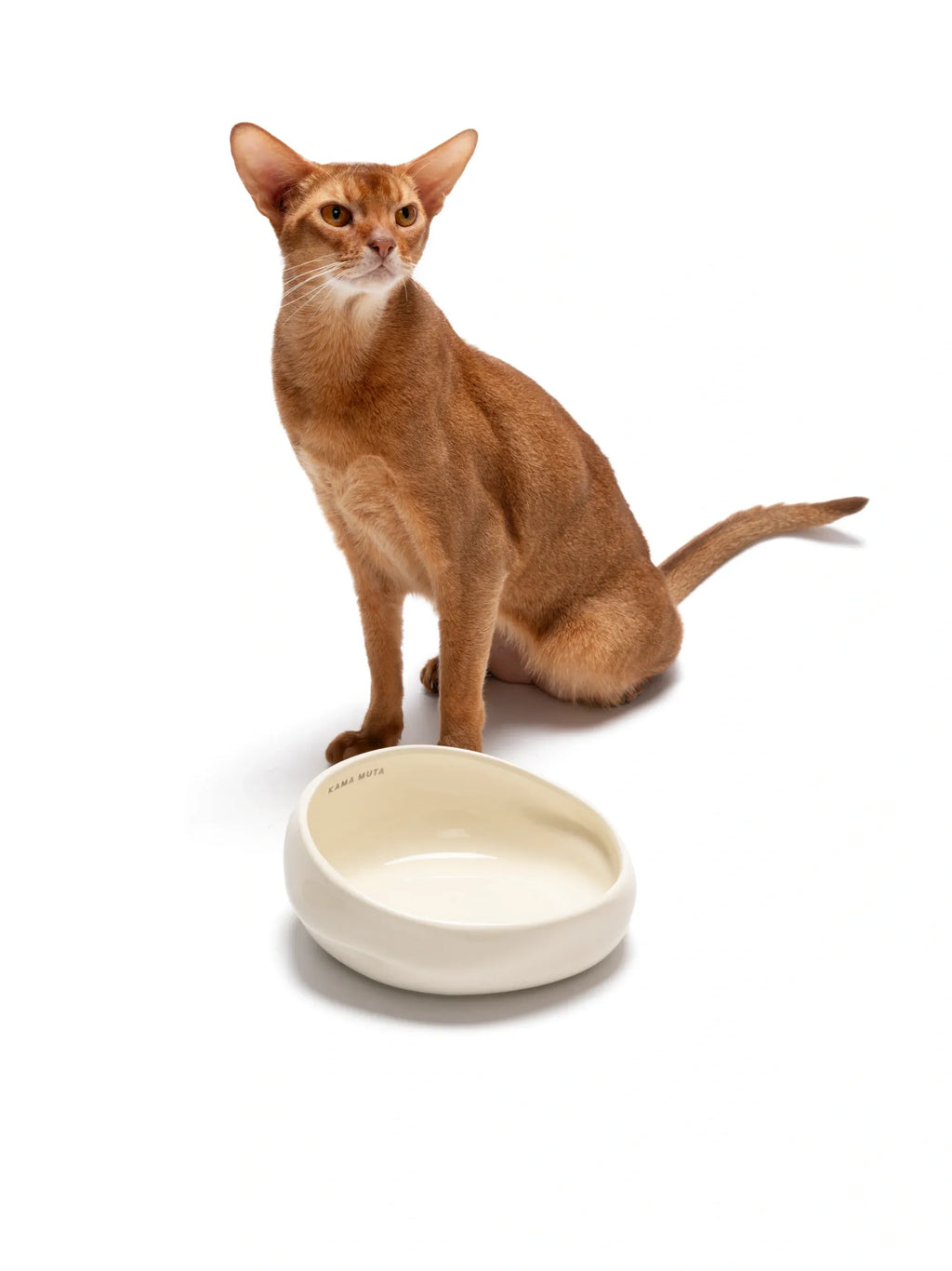 Kama Muta Lake · Pet Bowl Water Bowl