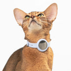 Buddy Armor Anti-Choke AirTag Cat Collar G2 (QR)