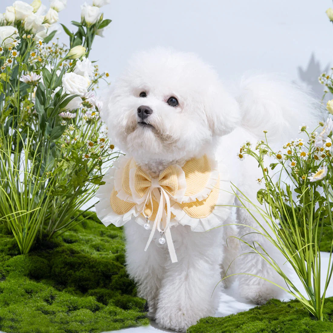 Kama Muta Pet Scarf Pet Bandana