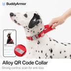 Buddy Armor Light-Alloy Collar (Pro)