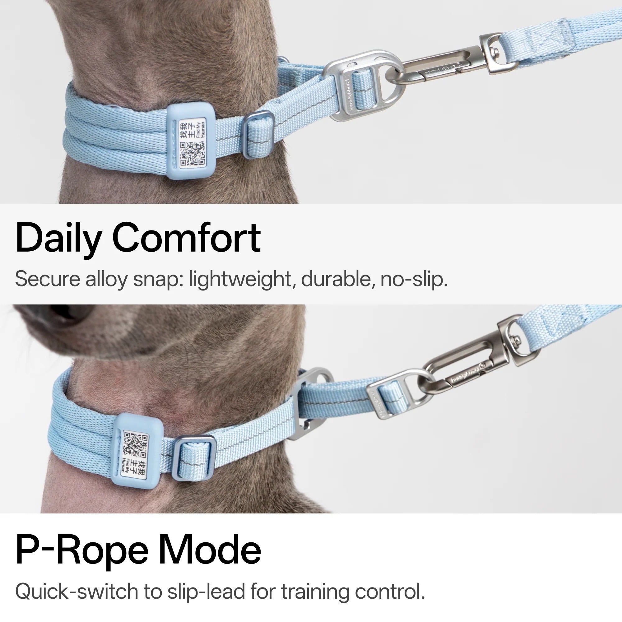 Buddy Armor Ultra-Comfort Fluffy Collar(QR)&Leash Set