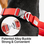 Buddy Armor Light-Alloy Collar (Pro)
