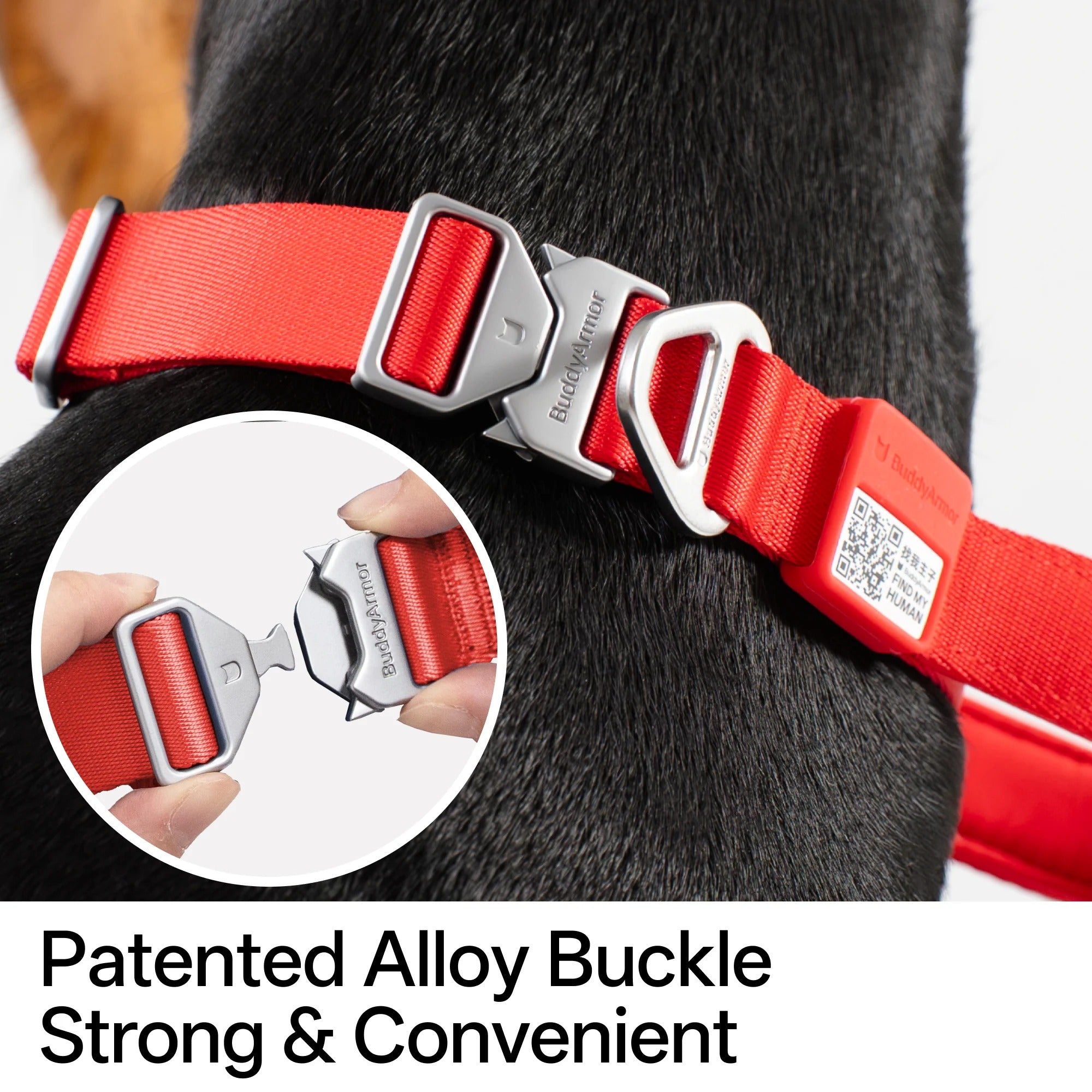 Buddy Armor Light-Alloy Collar (Pro)