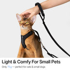 Buddy Armor Hands-Free (Cord) Leash