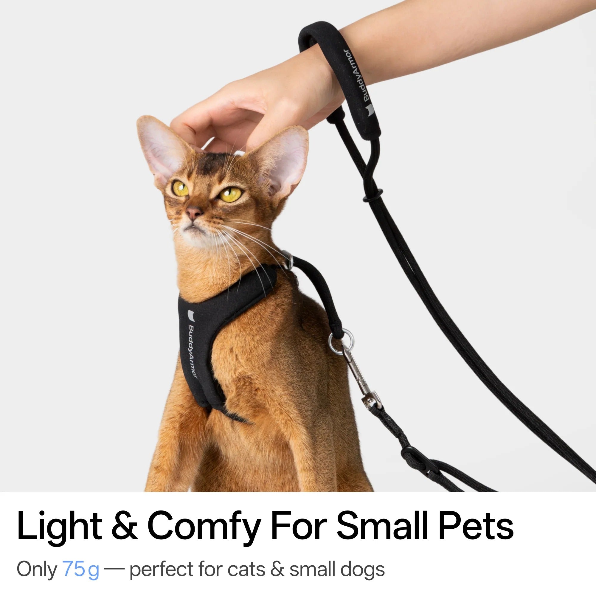 Buddy Armor Hands-Free (Cord) Leash