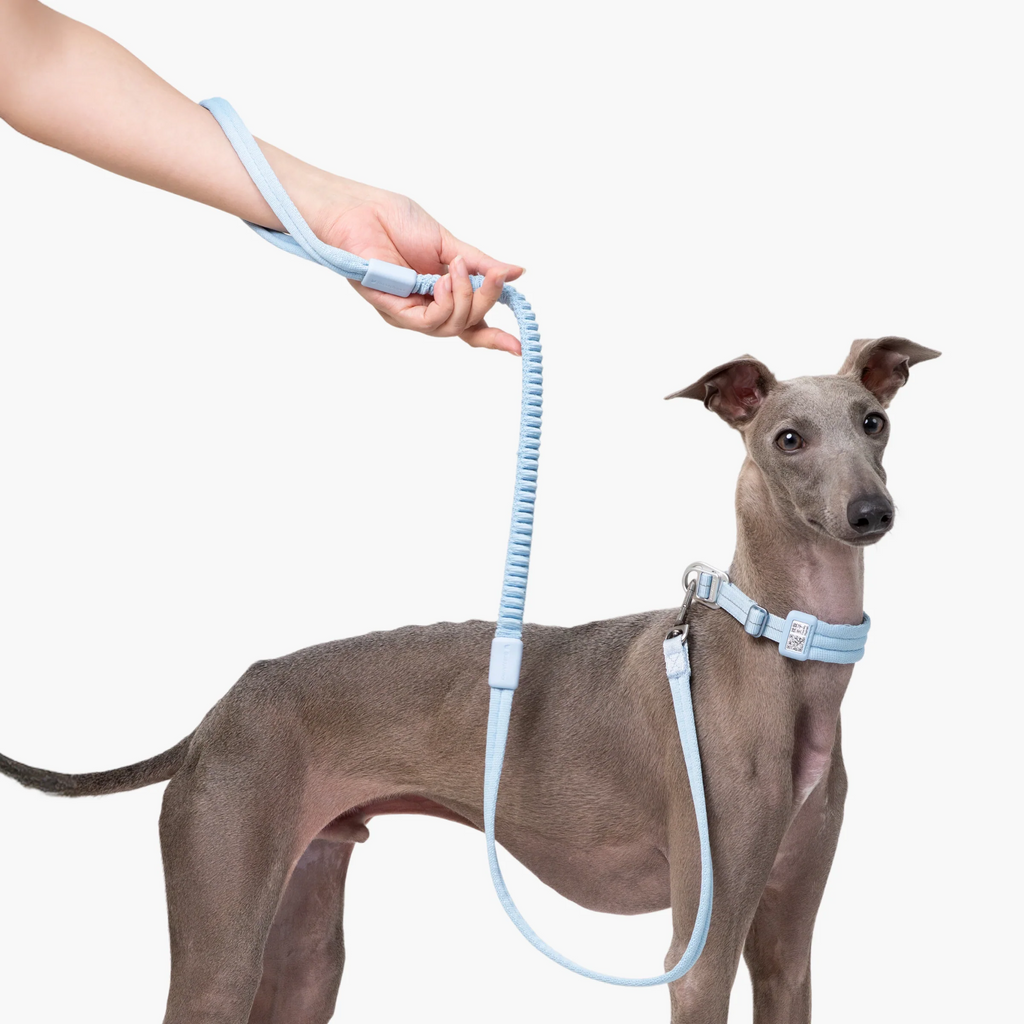 Buddy Armor Ultra-Comfort Fluffy Collar(QR)&Leash Set