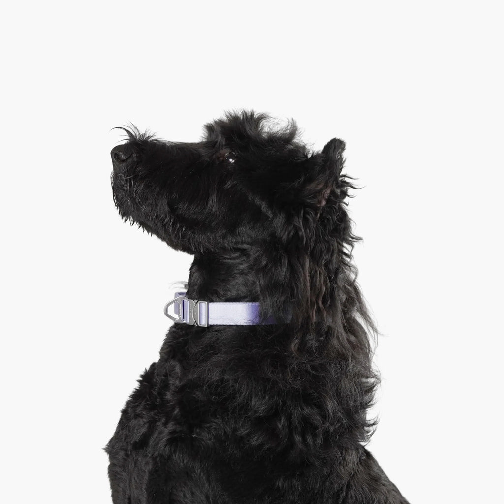 Buddy Armor Light-Alloy Collar (Pro)