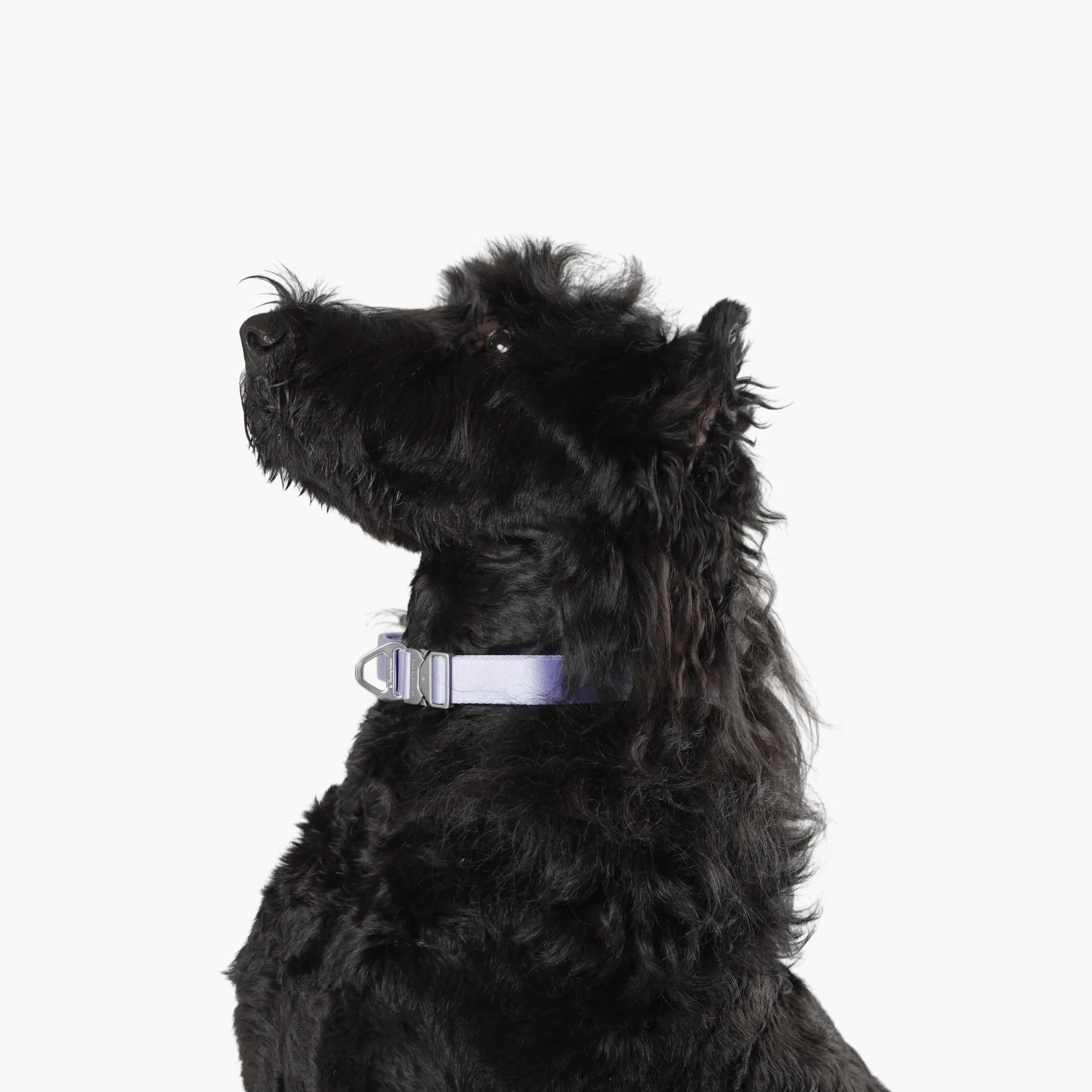 Buddy Armor Light-Alloy Collar (Pro)
