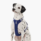 Buddy Armor Light-Alloy Harness