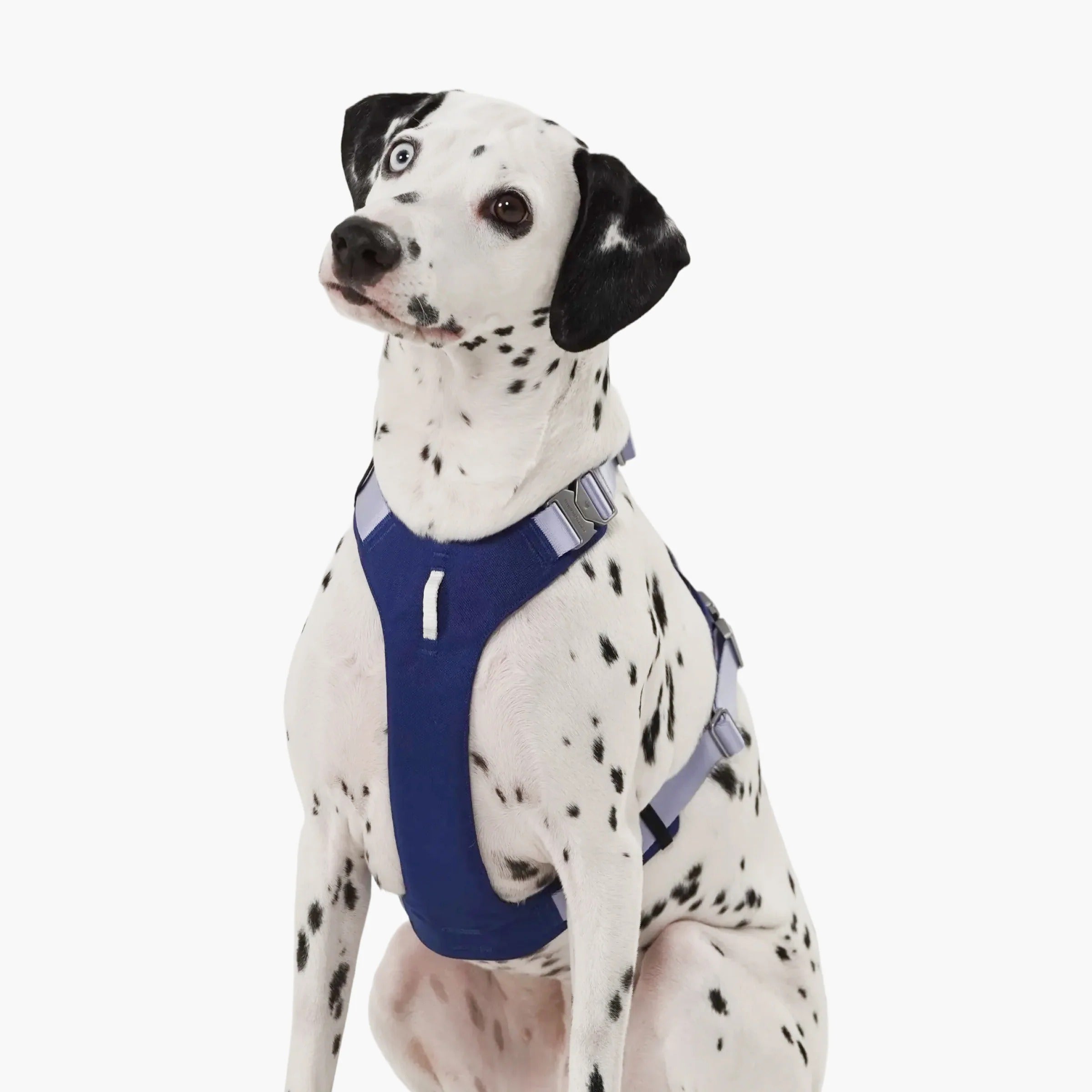 Buddy Armor Light-Alloy Harness