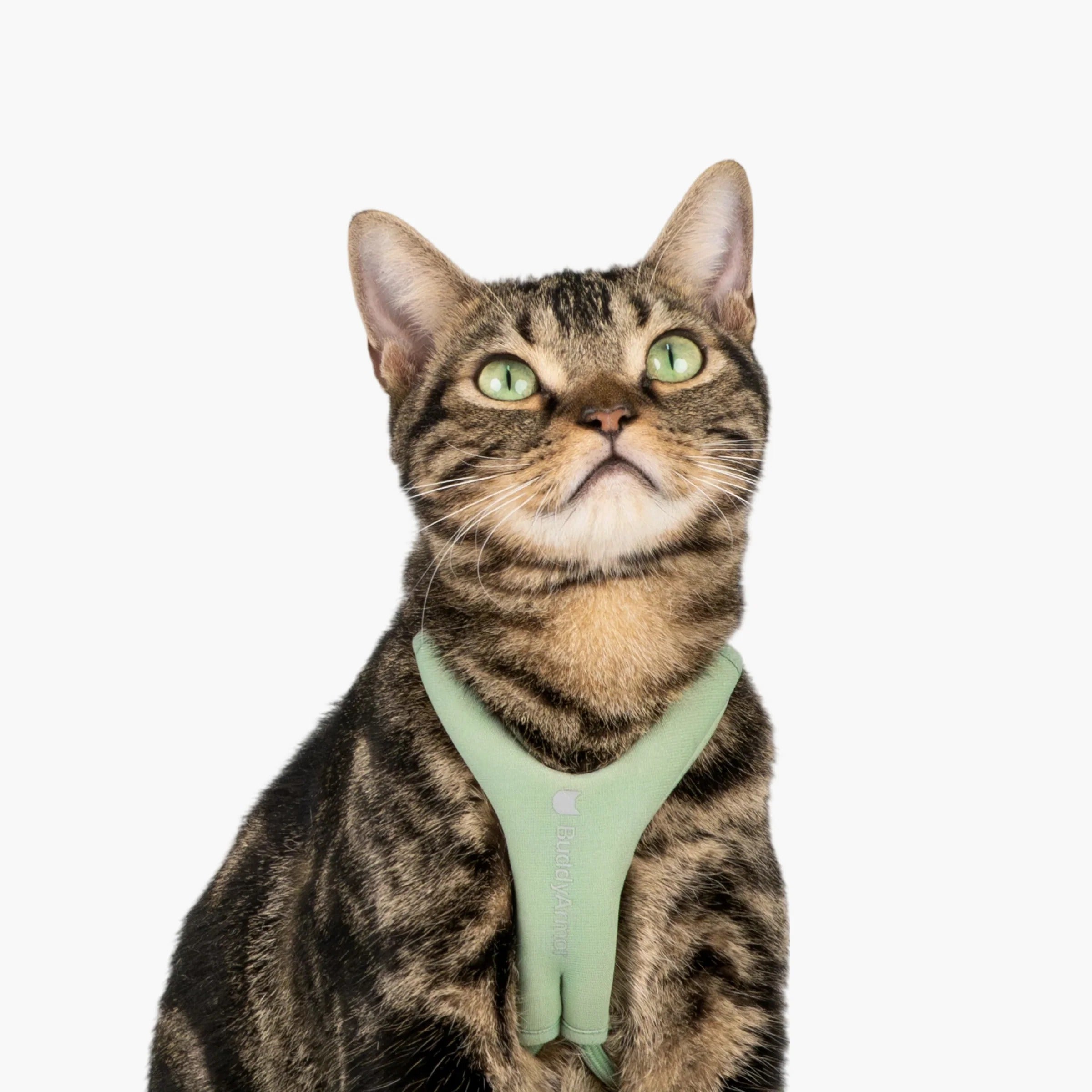 Buddy Armor Escape-Proof Y-Shape Harness