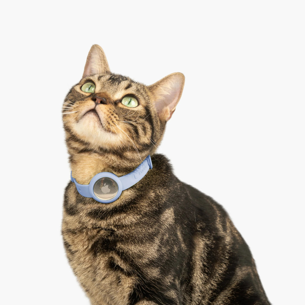 Buddy Armor Anti-Choke AirTag Cat Collar G2 (QR)