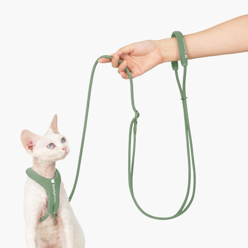 Buddy Armor Hands-Free (Cord) Leash