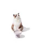 Kama Muta Mushroom Bowl Ceramic Elevated Bowl
