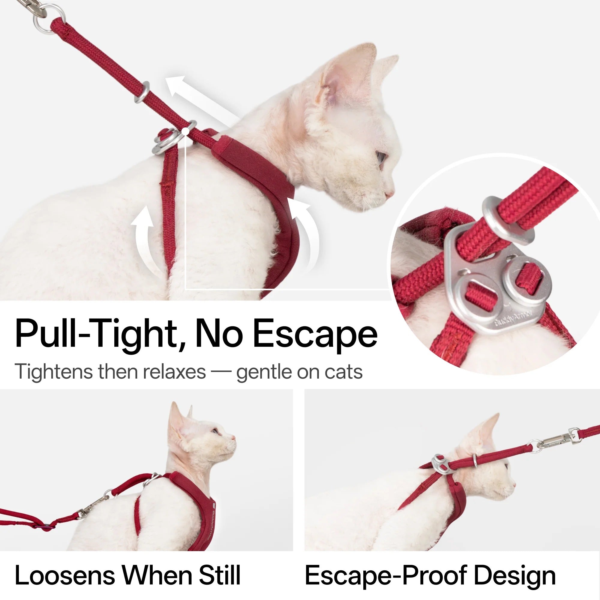 Buddy Armor Escape-Proof Y-Harness and Leash Set