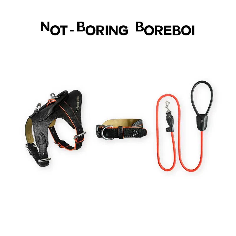 Pet leather harness