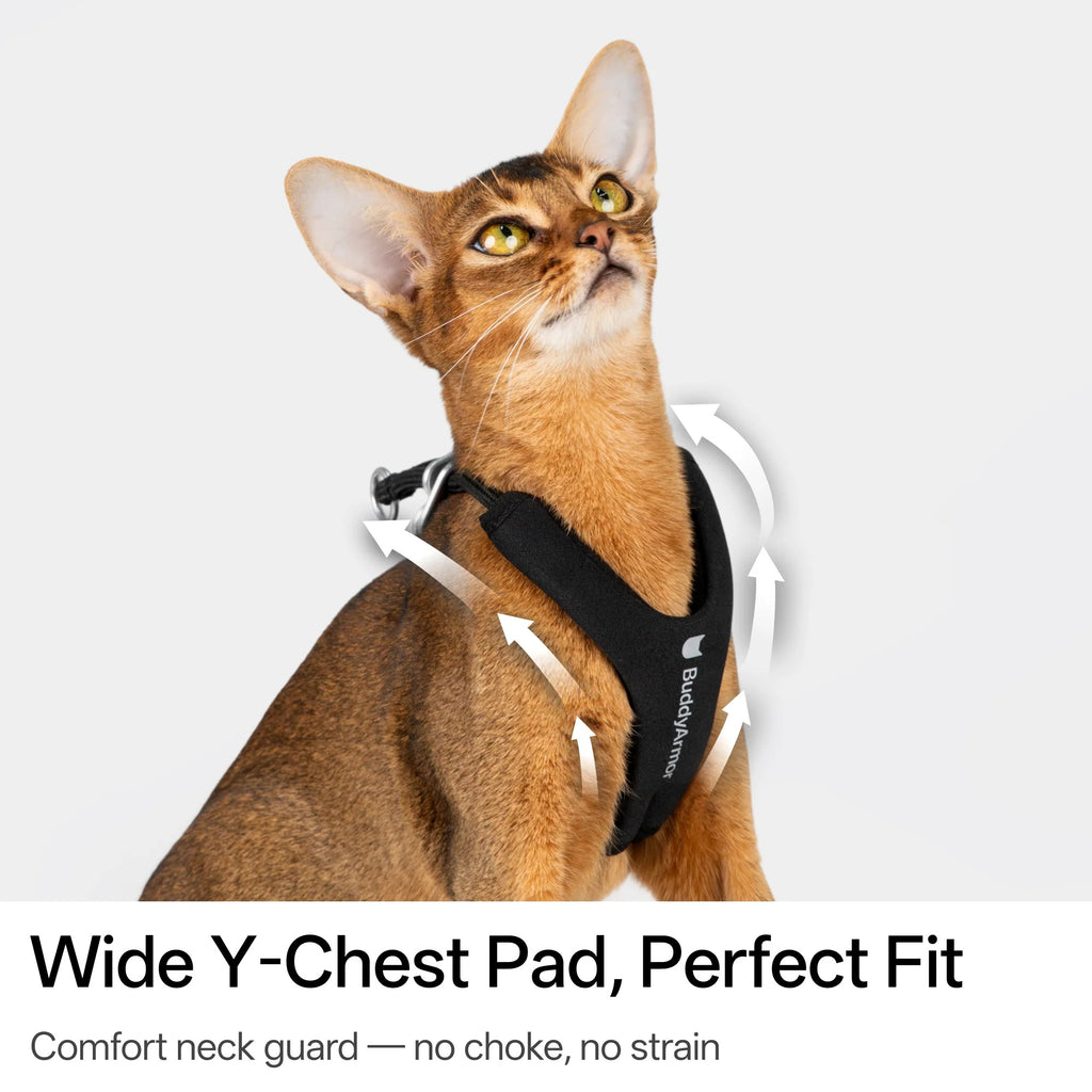 Buddy Armor Escape-Proof Y-Harness and Leash Set