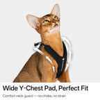 Buddy Armor Escape-Proof Y-Shape Harness