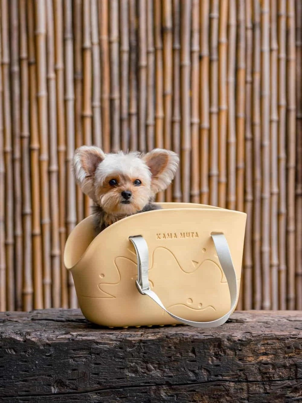 Kama Muta Mini Pet Tote Bag Lightweight Waterproof Pet Carriers