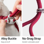 Buddy Armor Escape-Proof Y-Shape Harness