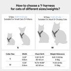 Buddy Armor Escape-Proof Y-Harness and Leash Set