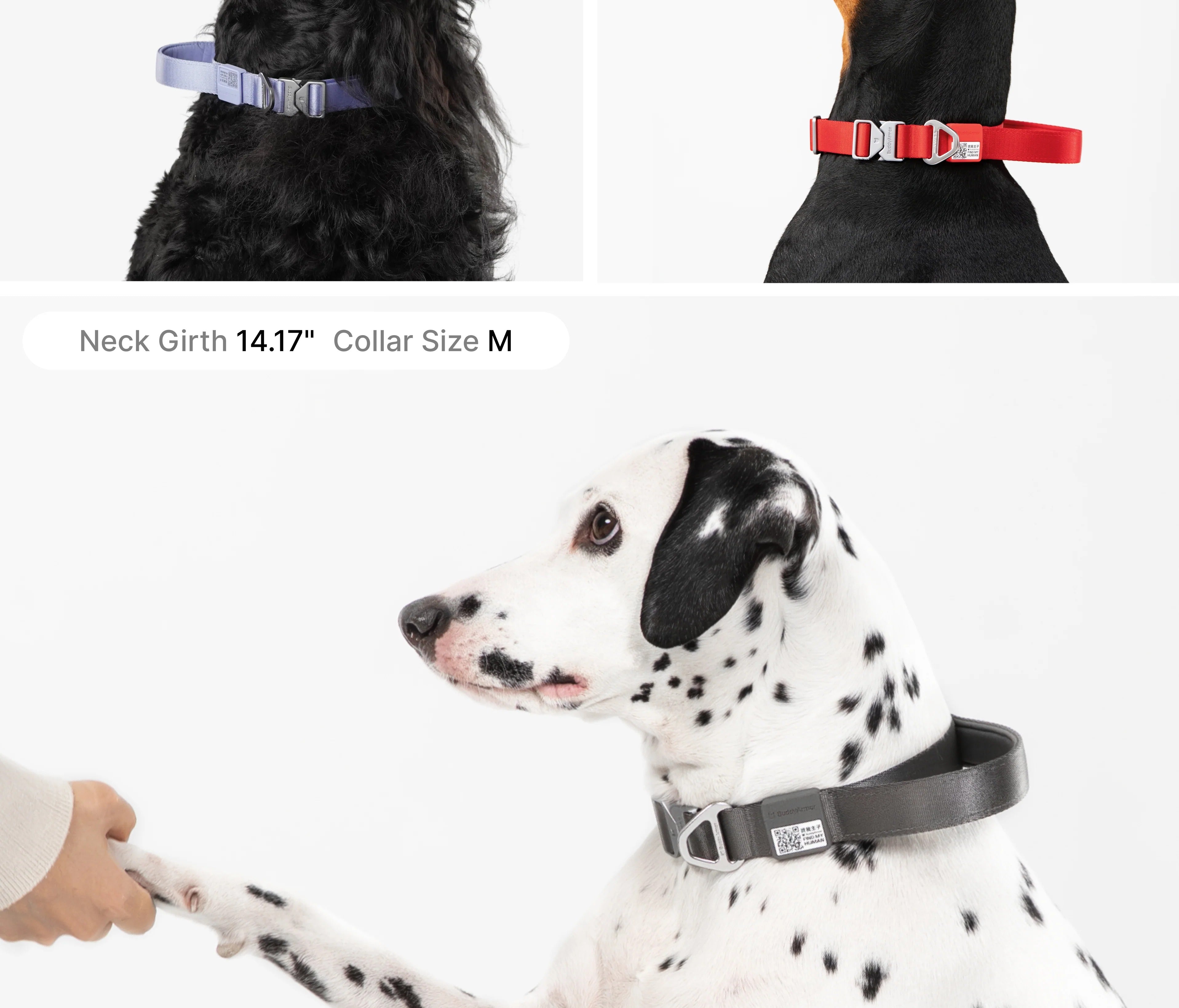 Buddy Armor Light-Alloy Collar (Pro)