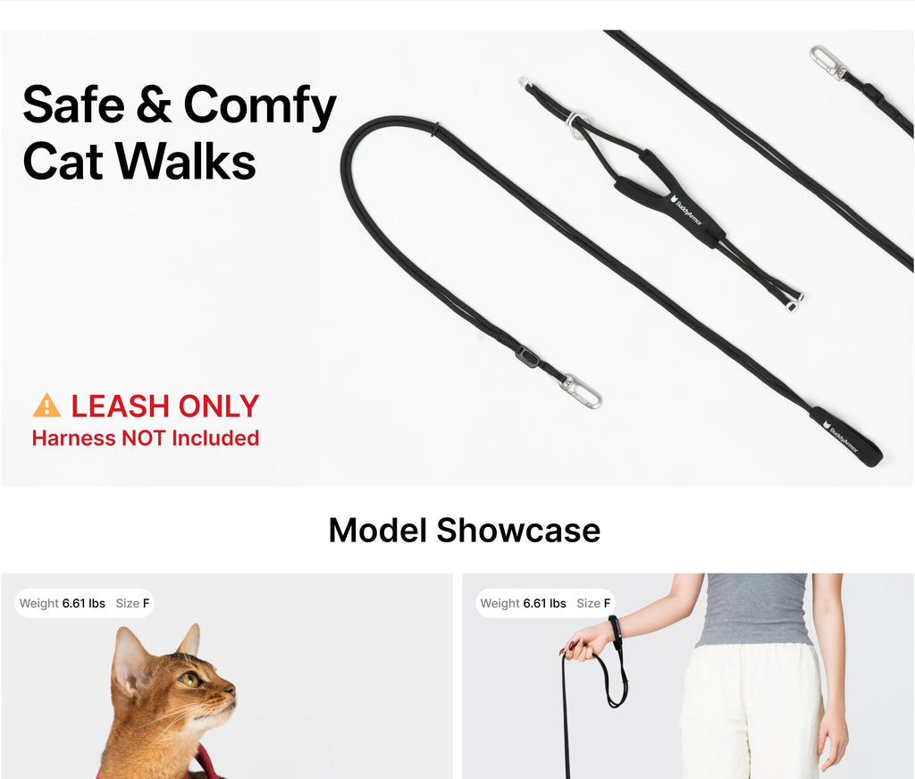 Buddy Armor Hands-Free (Cord) Leash