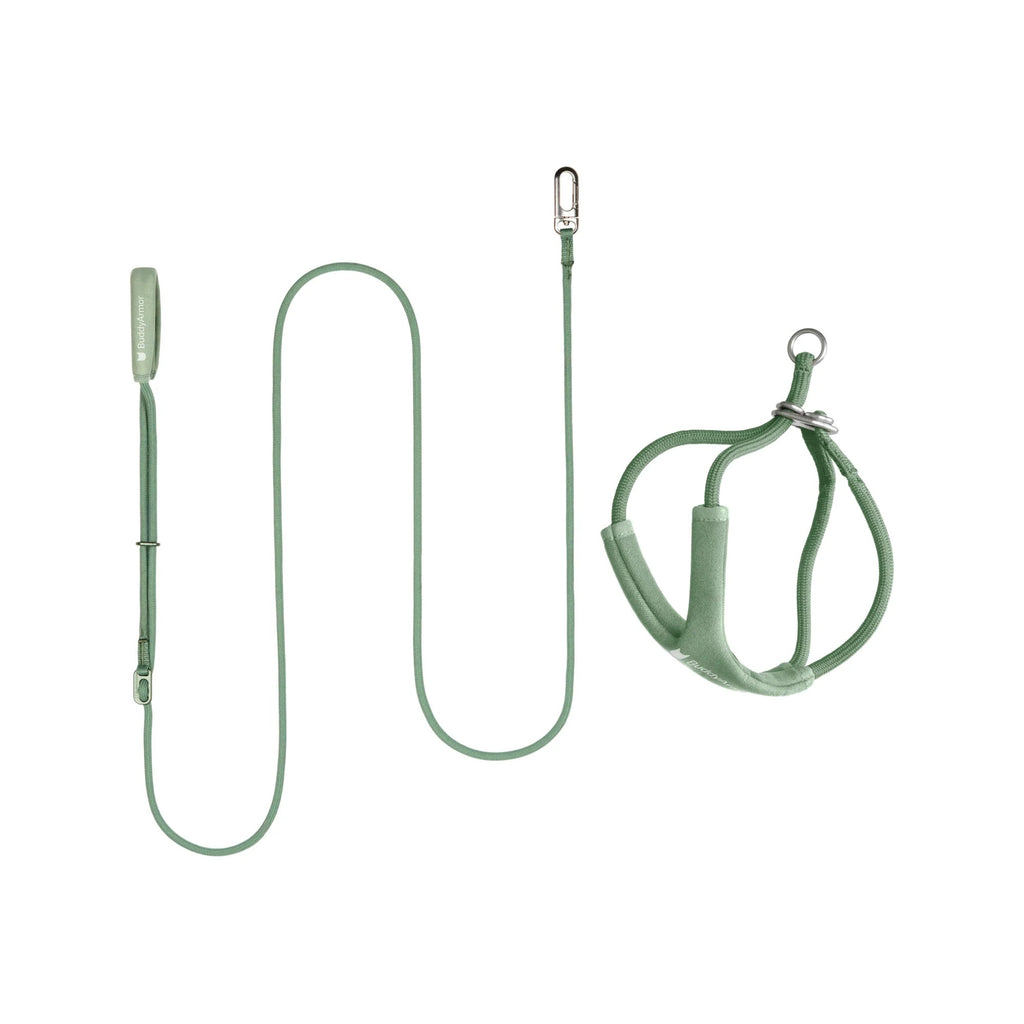 Buddy Armor Escape-Proof Y-Harness and Leash Set
