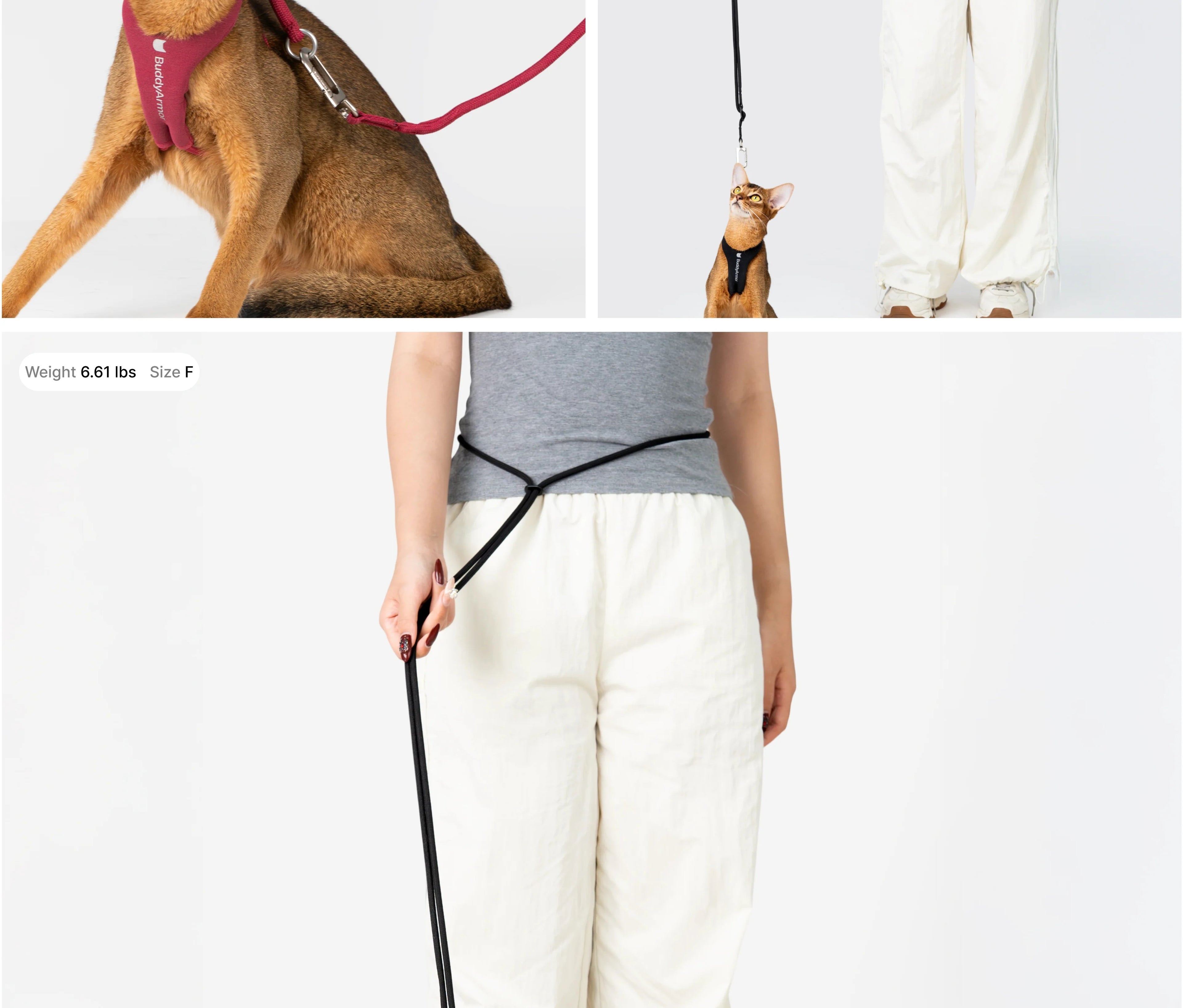 Buddy Armor Hands-Free (Cord) Leash