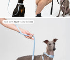 Buddy Armor Ultra-Comfort Fluffy Collar(QR)&Leash Set