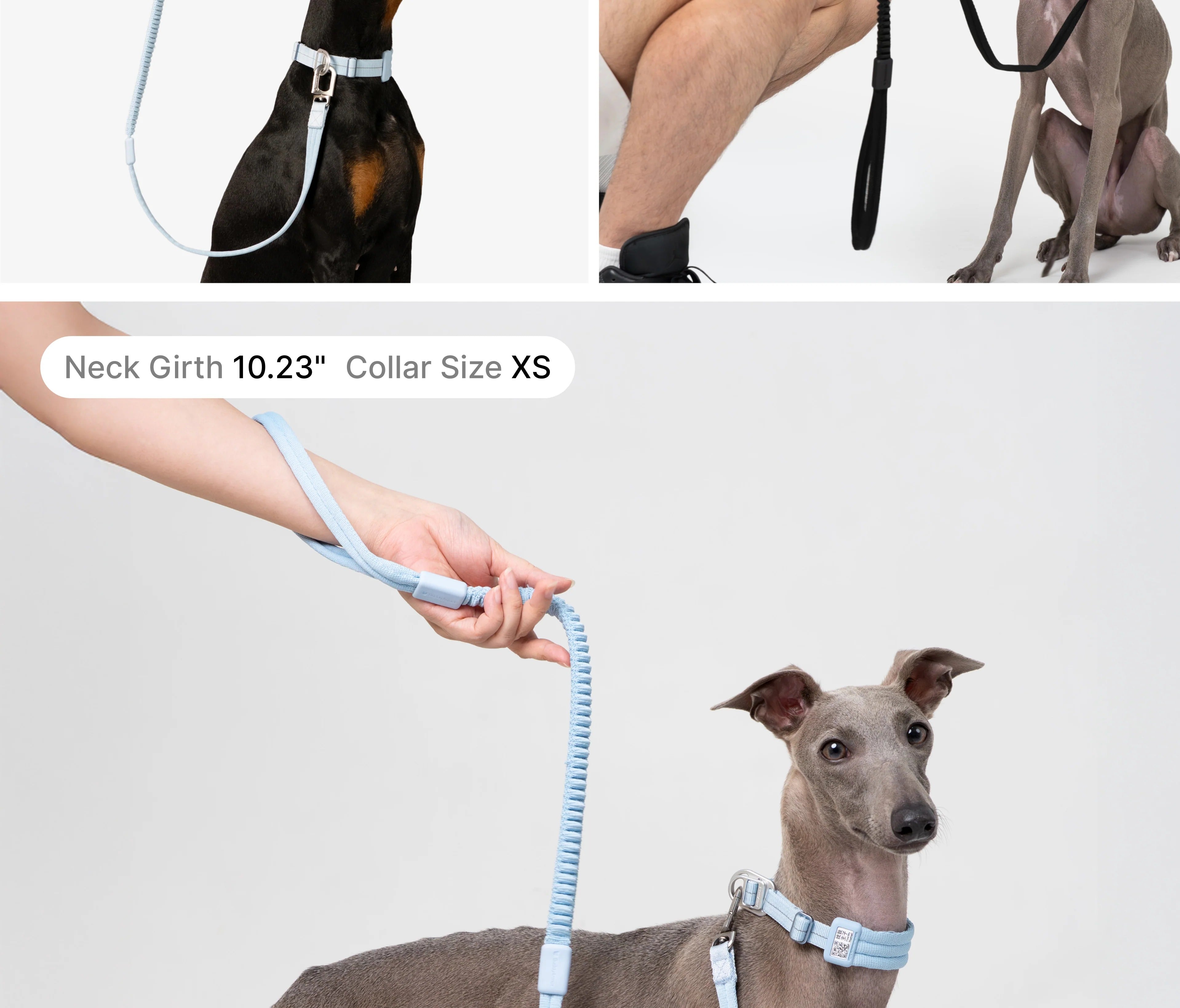 Buddy Armor Ultra-Comfort Fluffy Collar(QR)&Leash Set