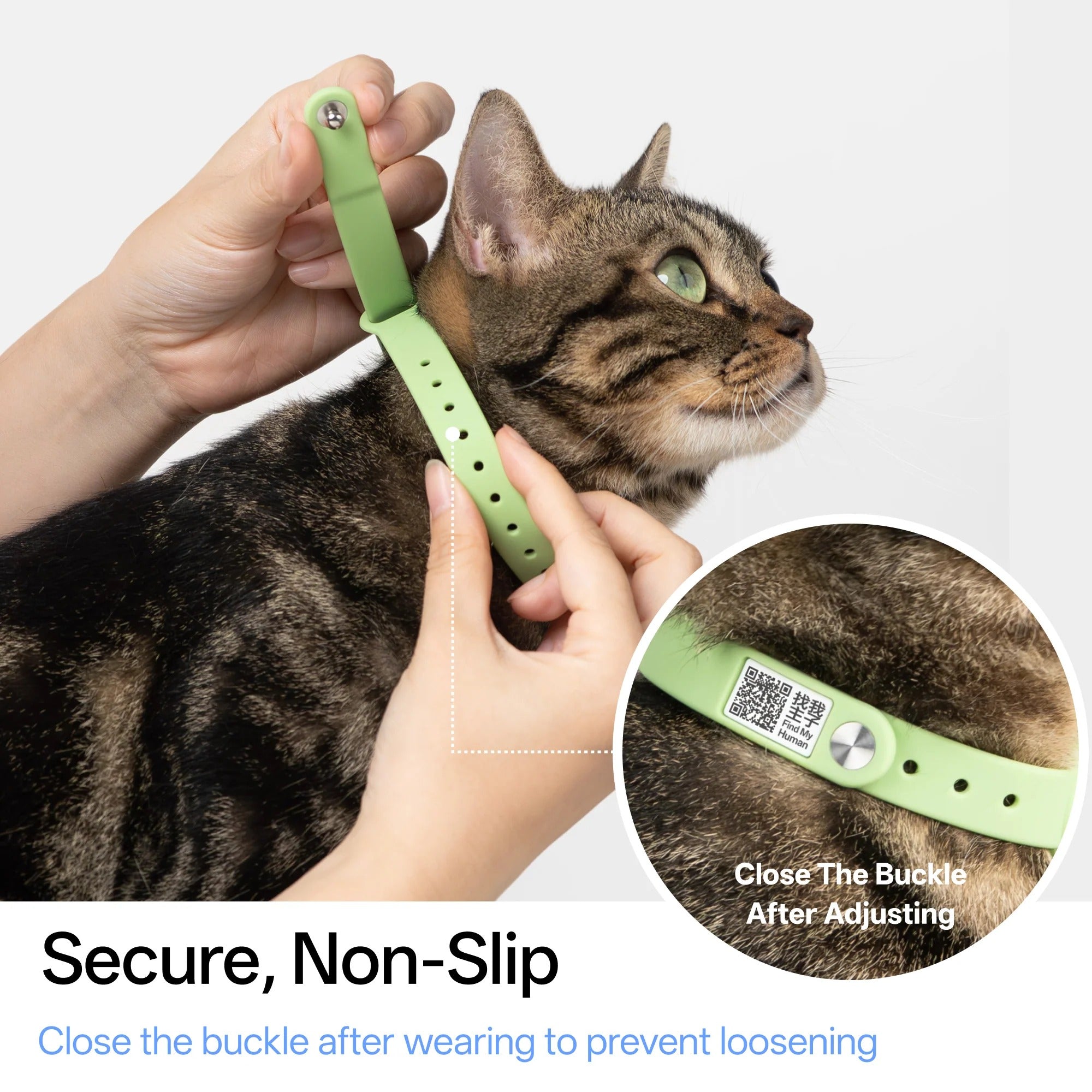 Buddy Armor Anti-Choke AirTag Cat Collar G2 (QR)