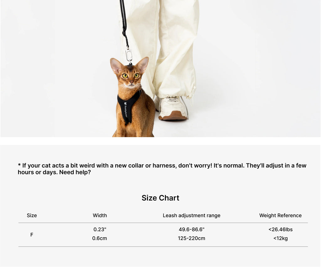 Buddy Armor Hands-Free (Cord) Leash