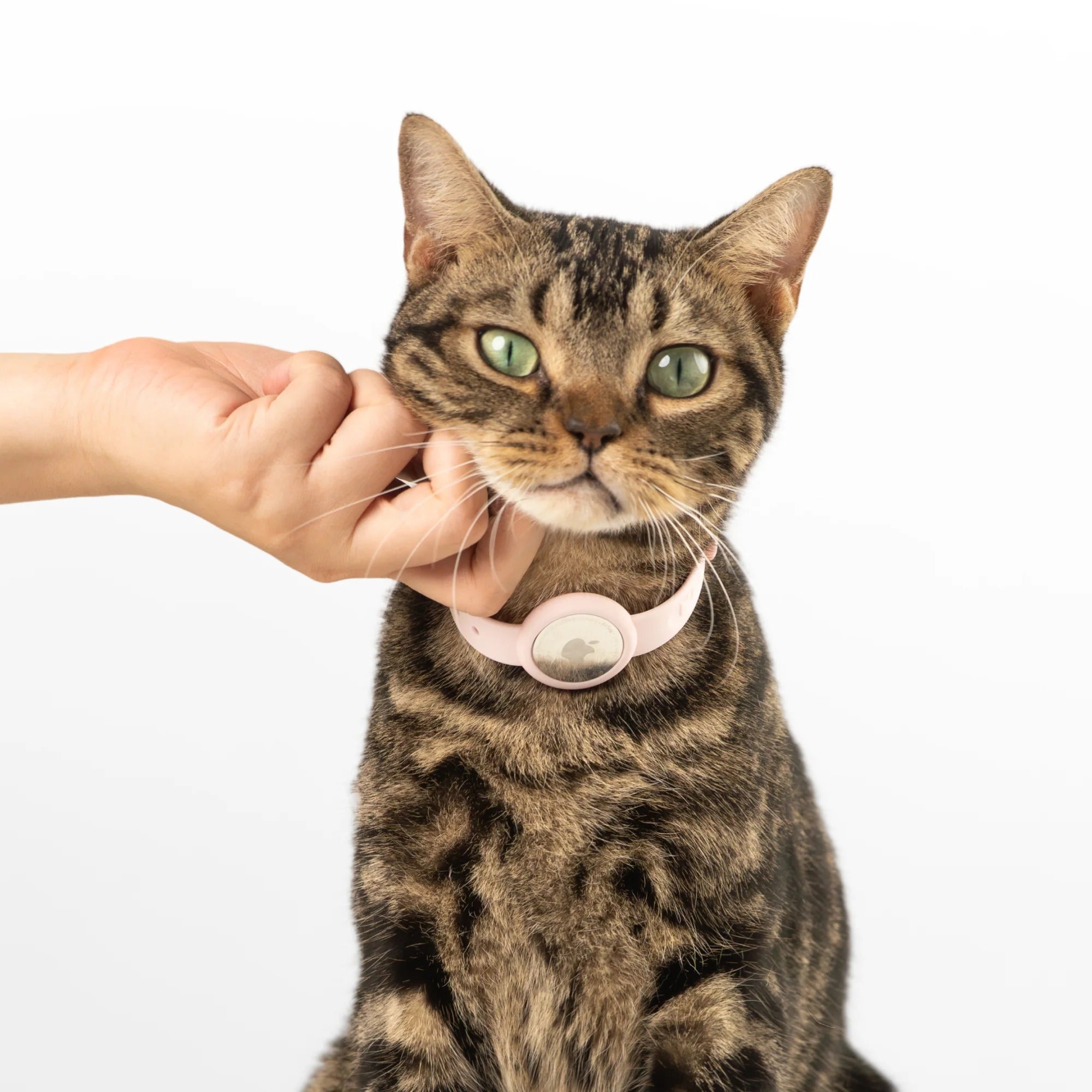 Buddy Armor Anti-Choke AirTag Cat Collar G2 (QR)