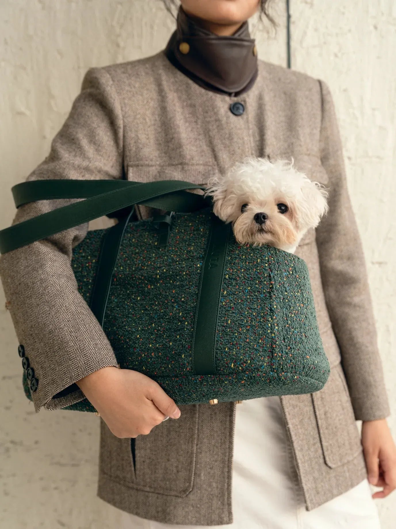 Kama Muta Mini Tweed Pet Tote Bag Winter Pet Carrier
