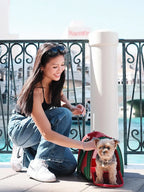 Kama Muta Pet Boston Bag Luxury Pet Carrier
