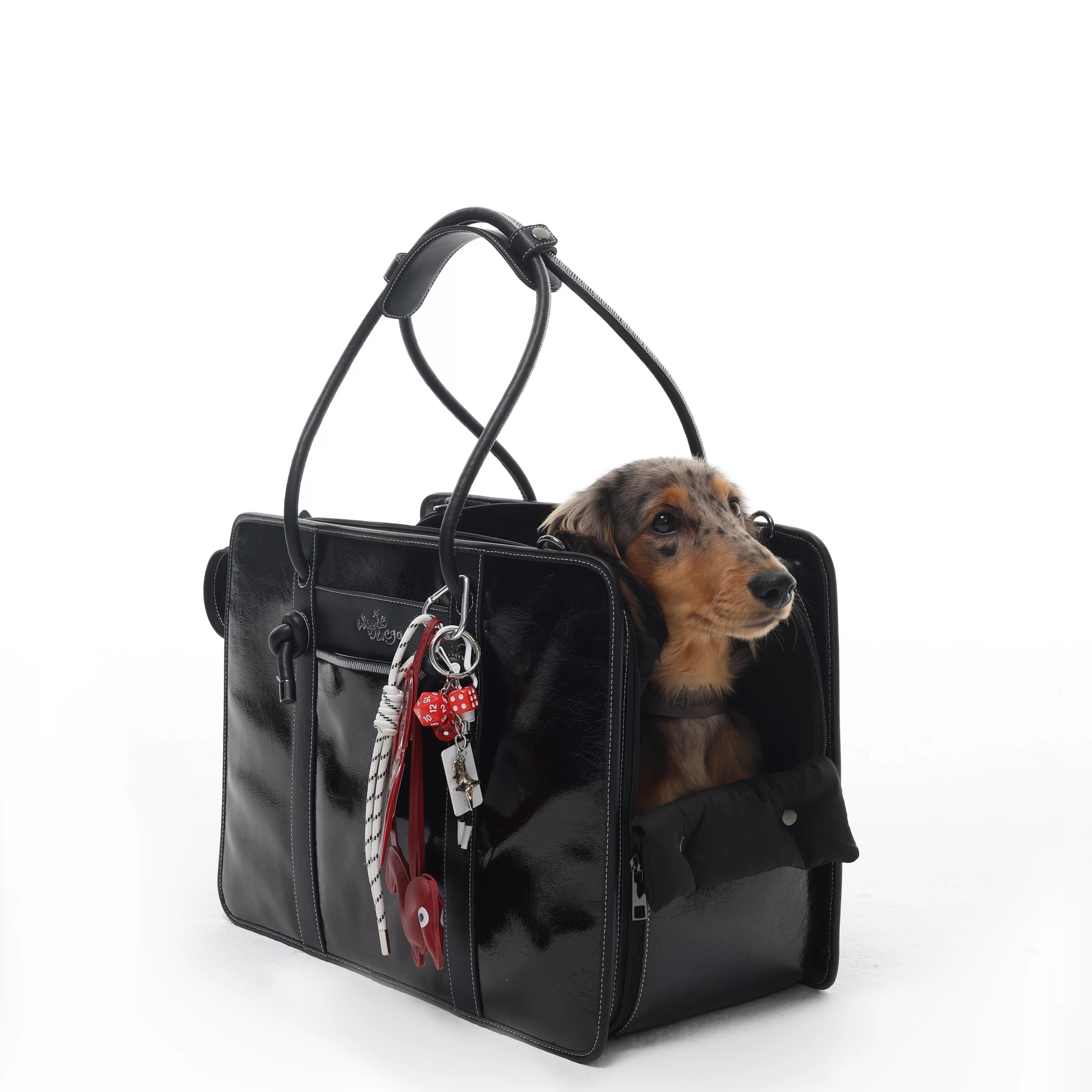 Fashionable Commuter Pet Briefcase
