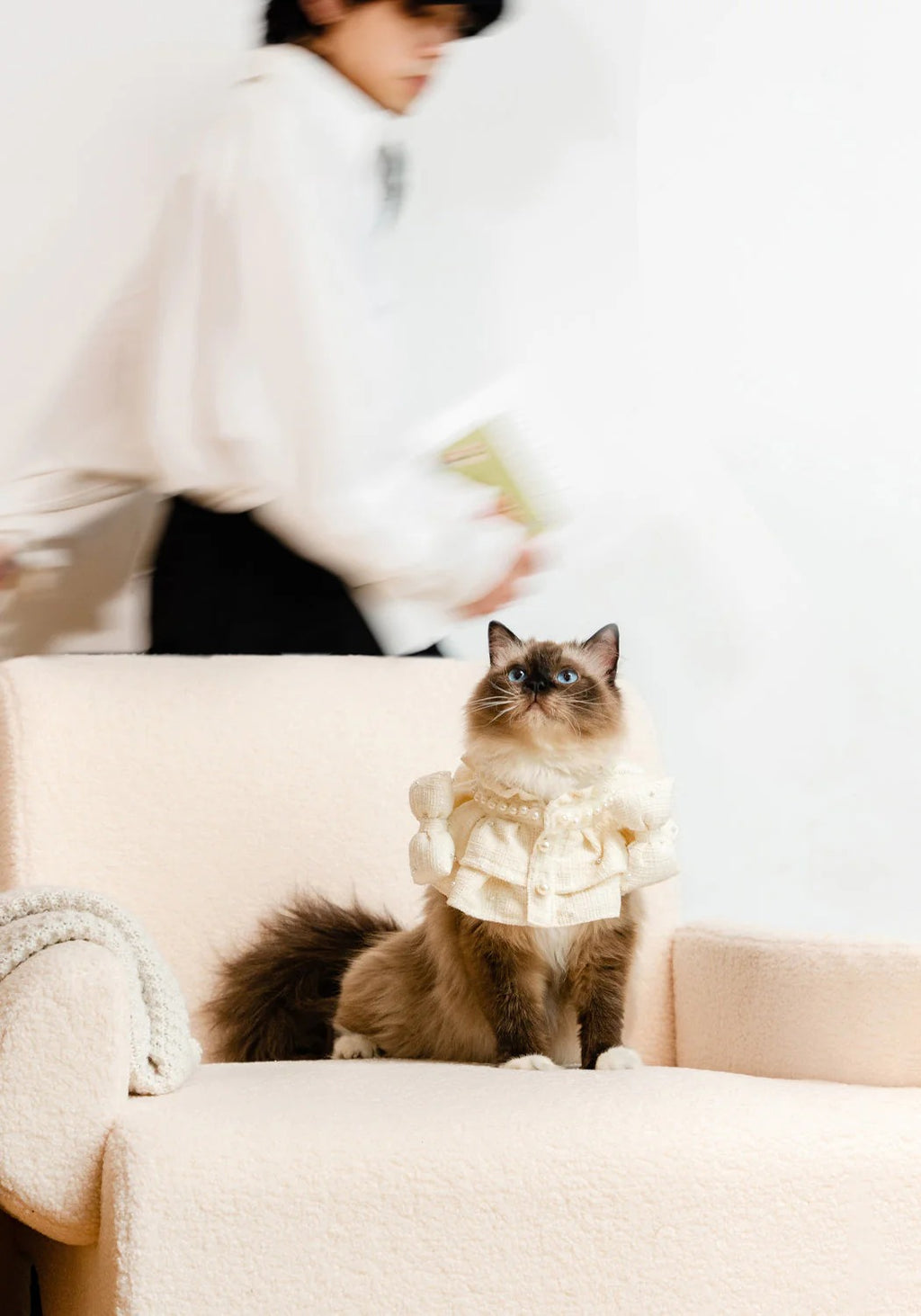 Kama Muta Pet Scarf Pet Bandana