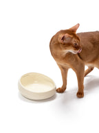 Kama Muta Lake · Pet Bowl Water Bowl