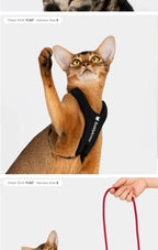 Buddy Armor Escape-Proof Y-Shape Harness