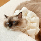 Kama Muta Pet Scarf Pet Bandana