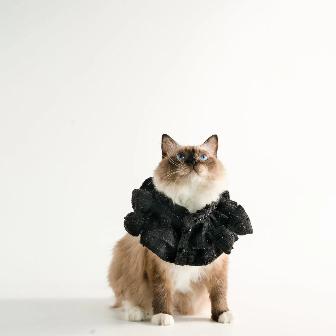 Kama Muta Pet Scarf Pet Bandana