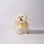 Kama Muta Pet Scarf Pet Bandana