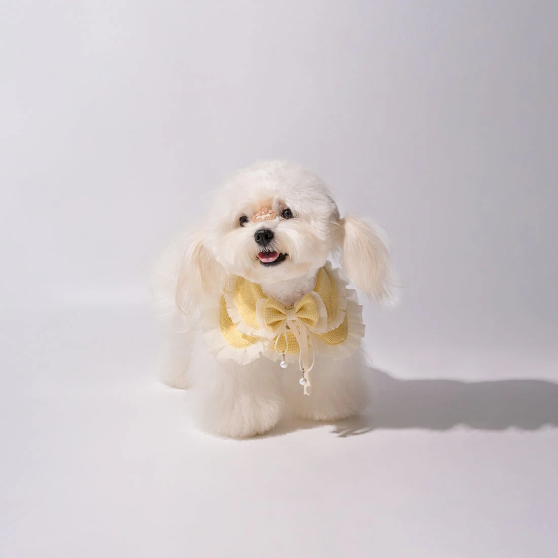 Kama Muta Pet Scarf Pet Bandana