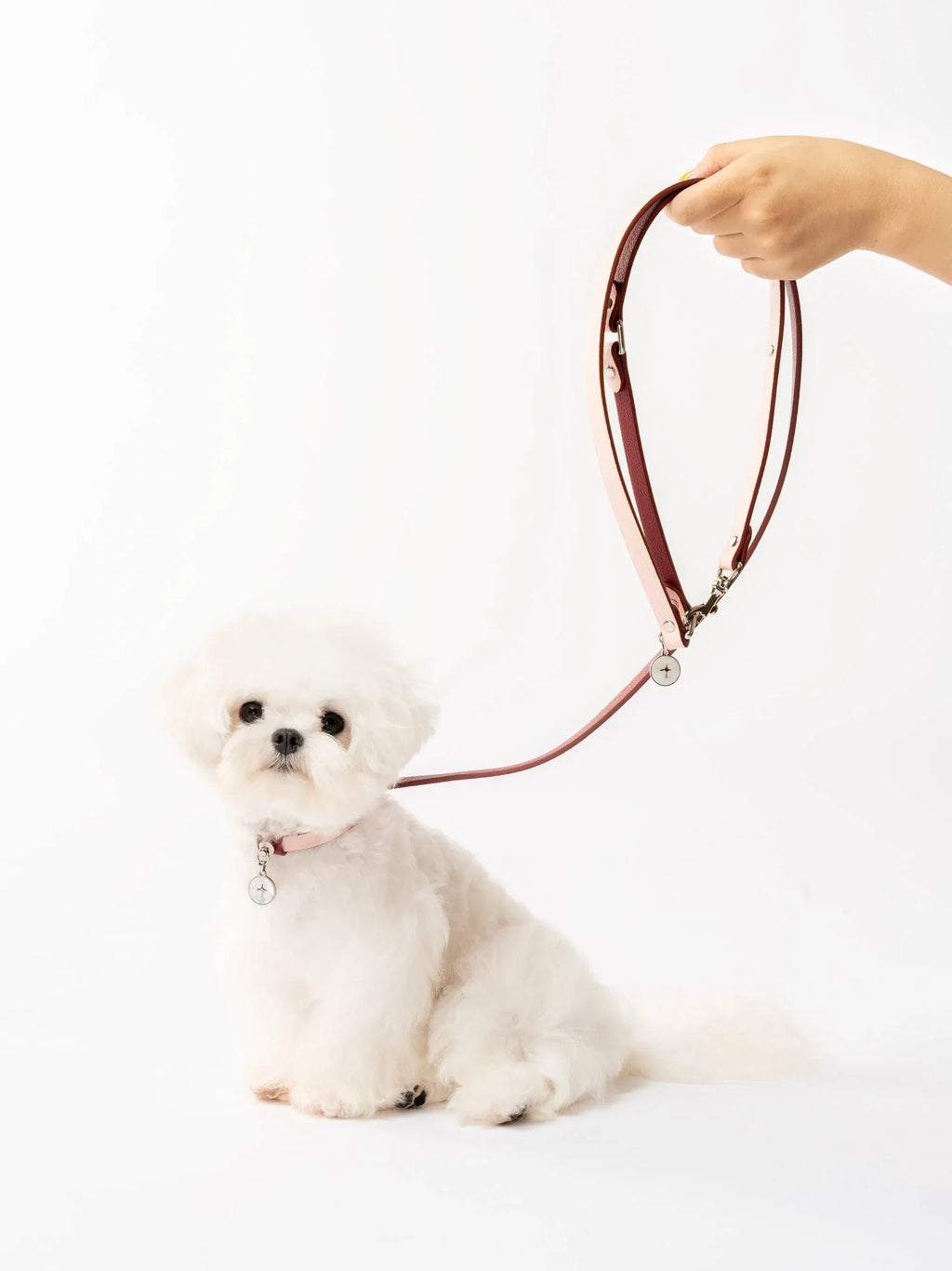 Kama Muta Leather Dog Leash Small Dogs & Cat