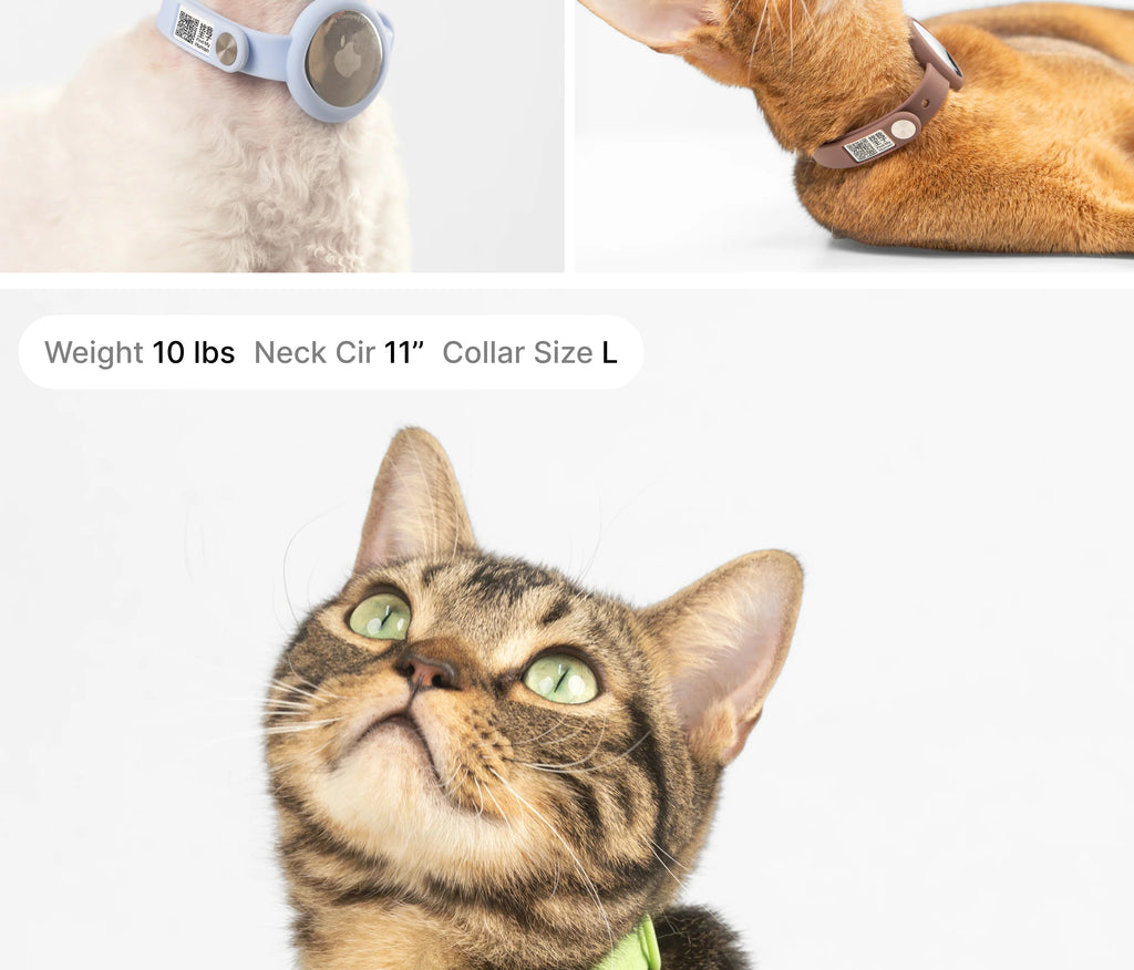 Buddy Armor Anti-Choke AirTag Cat Collar G2 (QR)