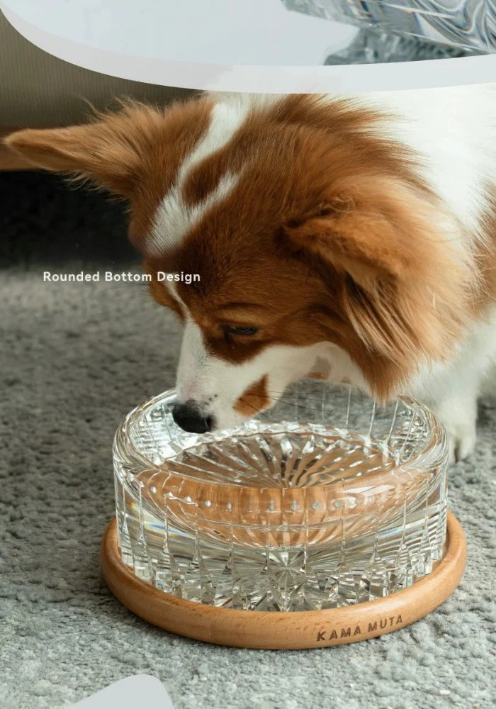 Kama Muta Pet Crystal Bowl Handcrafted Edo Kiriko