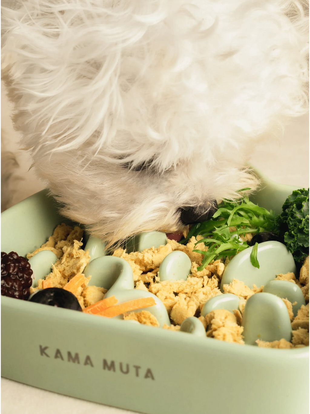 Kama Muta Amidst the Mountains · Slow Feeder Bowl