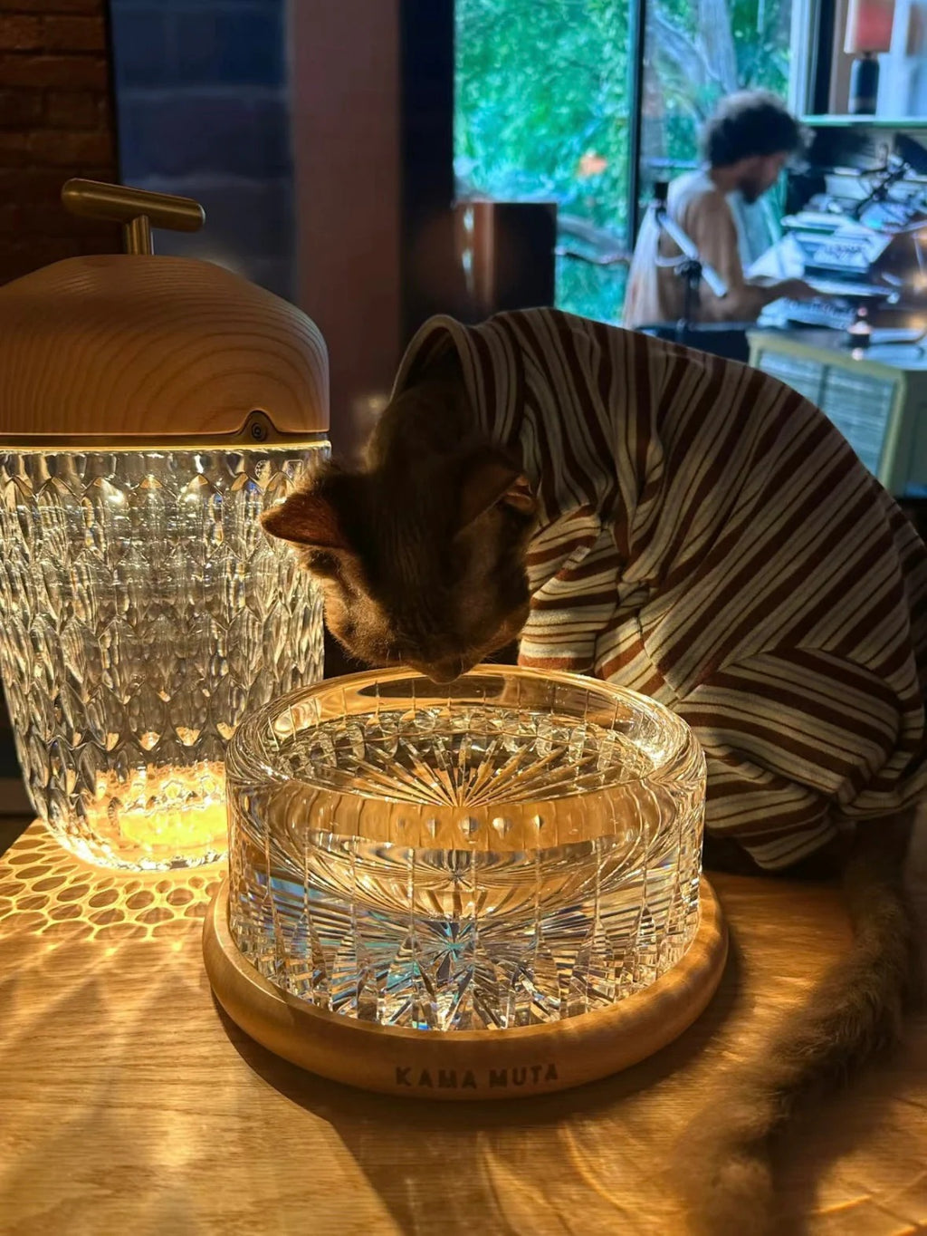 Kama Muta Pet Crystal Bowl Handcrafted Edo Kiriko