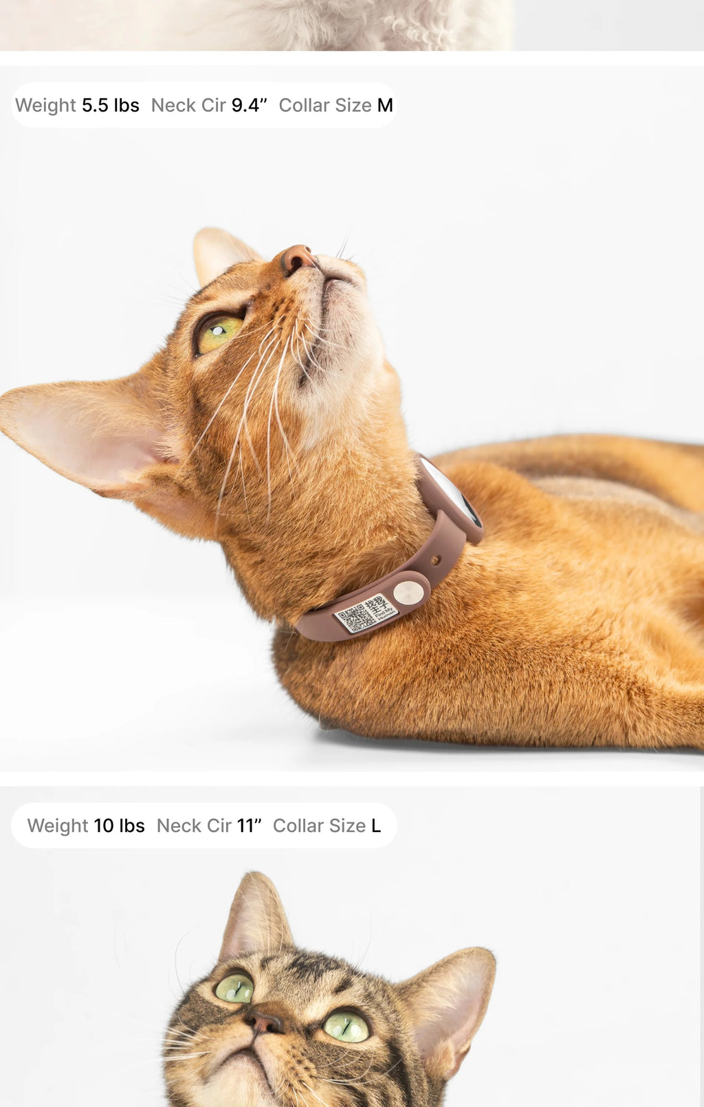 Buddy Armor Anti-Choke AirTag Cat Collar G2 (QR)